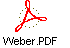 Weber.PDF