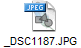 _DSC1187.JPG