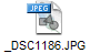 _DSC1186.JPG