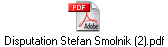 Disputation Stefan Smolnik (2).pdf