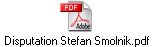 Disputation Stefan Smolnik.pdf